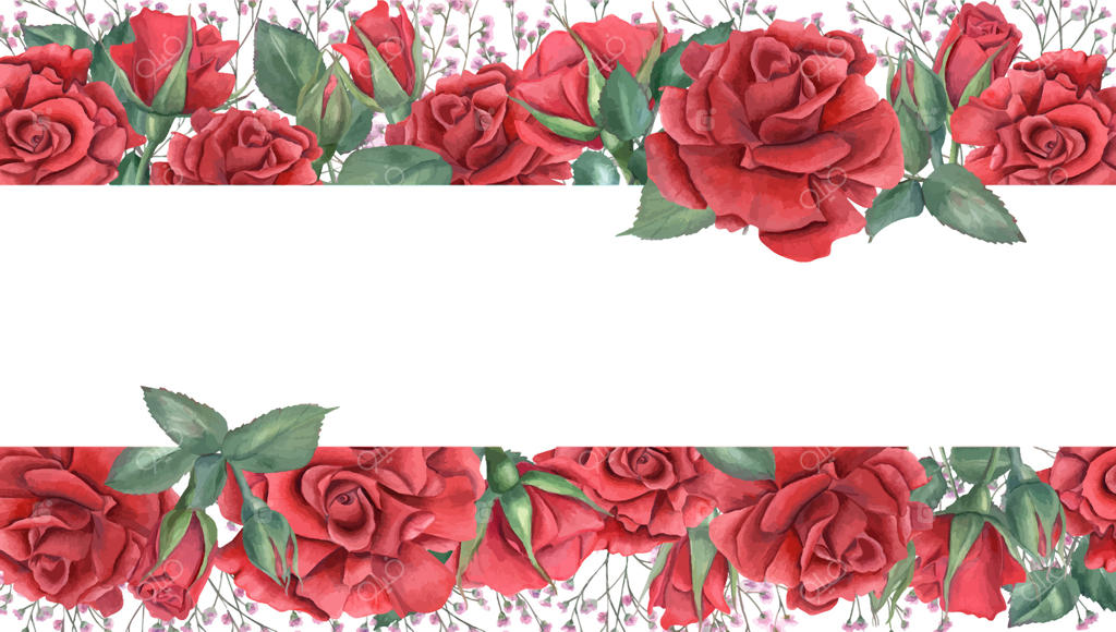 حاشیه گلدار با گل‌های رز قرمز زیبا وکتور حرفه‌ای