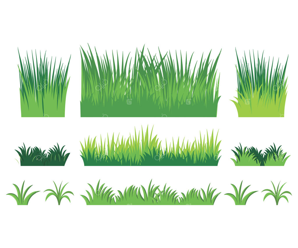 مجموعه چمن سبز با نوشته Grass در پایین