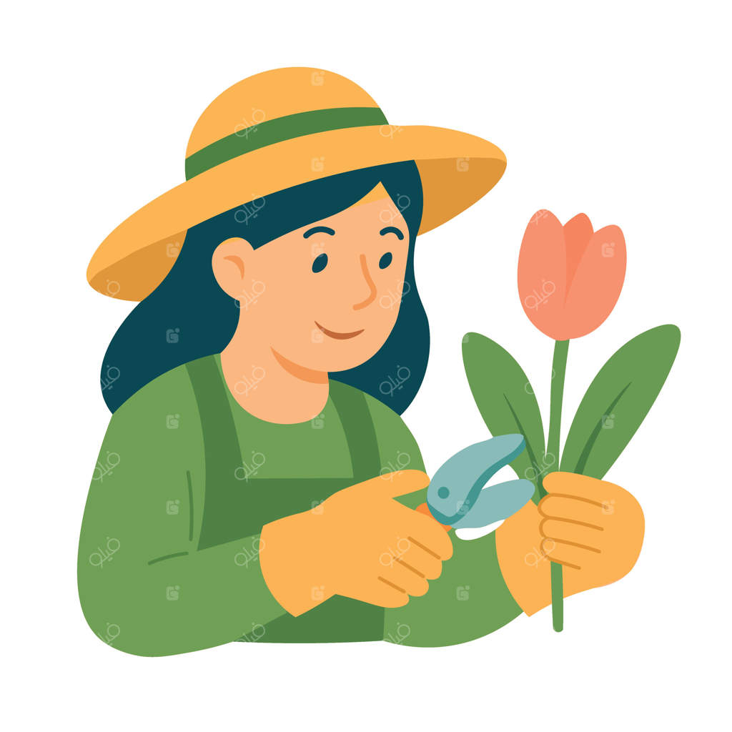 زن خندان با قیچی باغبانی در حال بریدن لاله‌ها. تصویر شخصیت باغبانی در بهار.