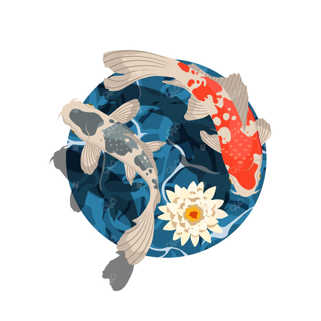 ماهی‌های کوی و نیلوفر آبی - تصویرسازی کارتونی وکتور رنگی