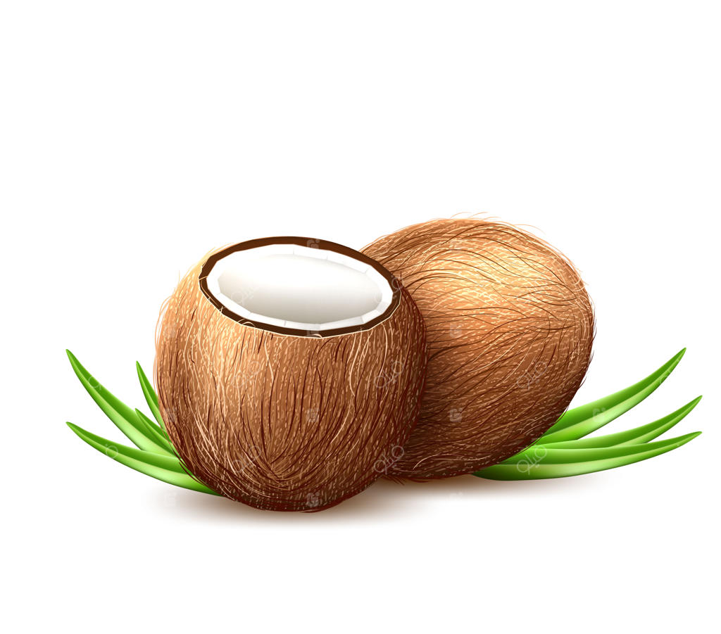 میوه استوایی نارگیل با برگ‌های واقعی.