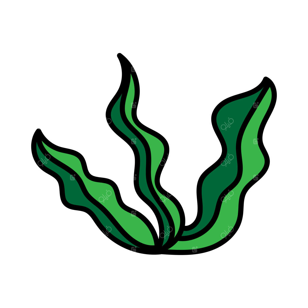 طرح خطی کارتونی اشیاء دریایی، جلبک و مرجان برای رنگ‌آمیزی در پس‌زمینه سفید