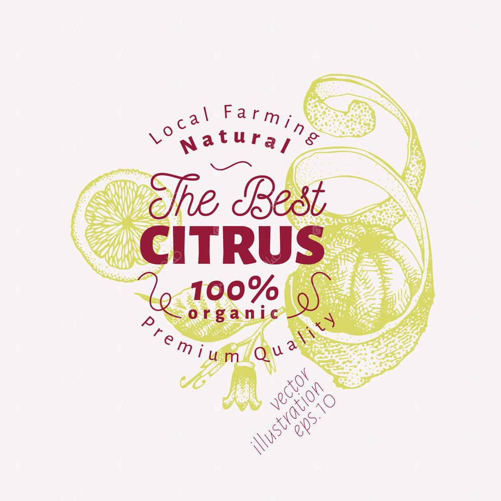 تصویر لیمو: طرح دستی میوه. تصویر وکتور مرکبات. سبک حکاکی شده و کلاسیک.