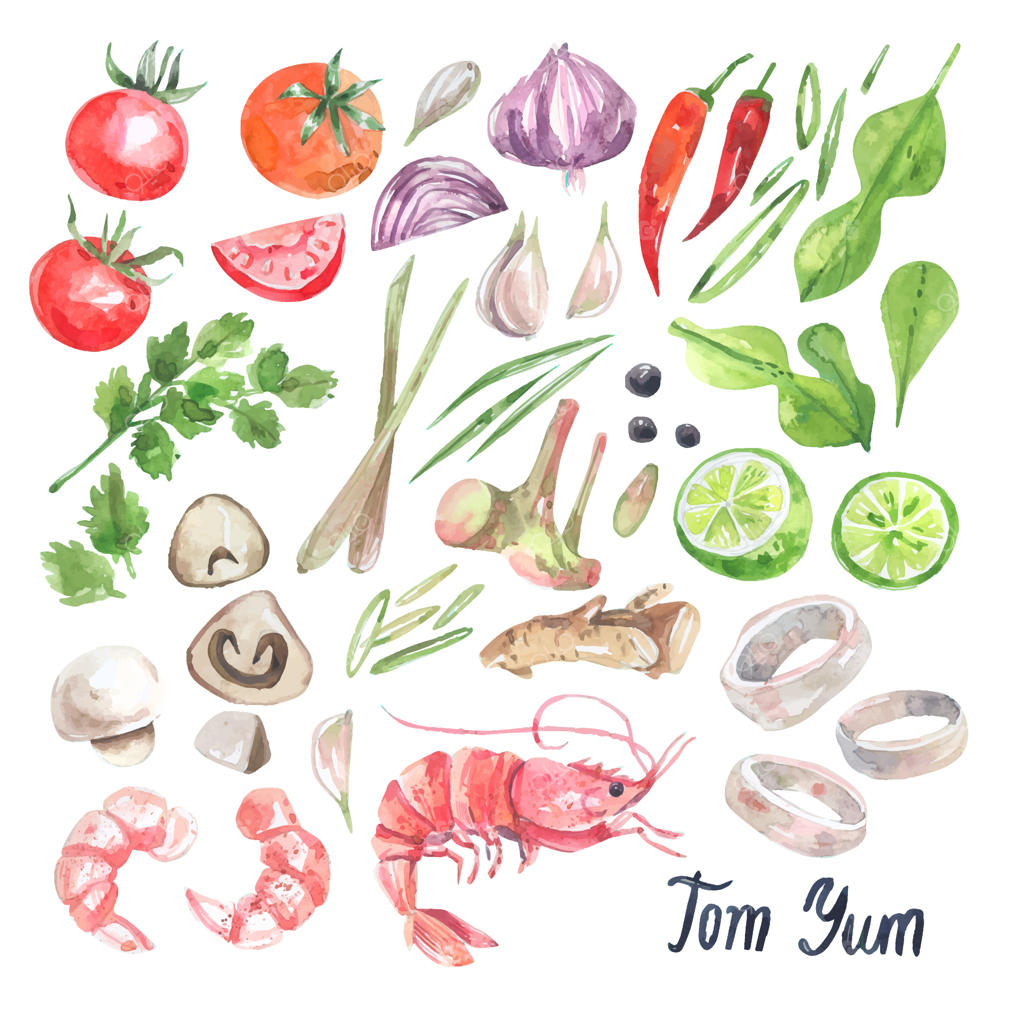 مجموعه‌ای از مواد اولیه برای نقاشی آبرنگ غذای سنتی تایلندی.