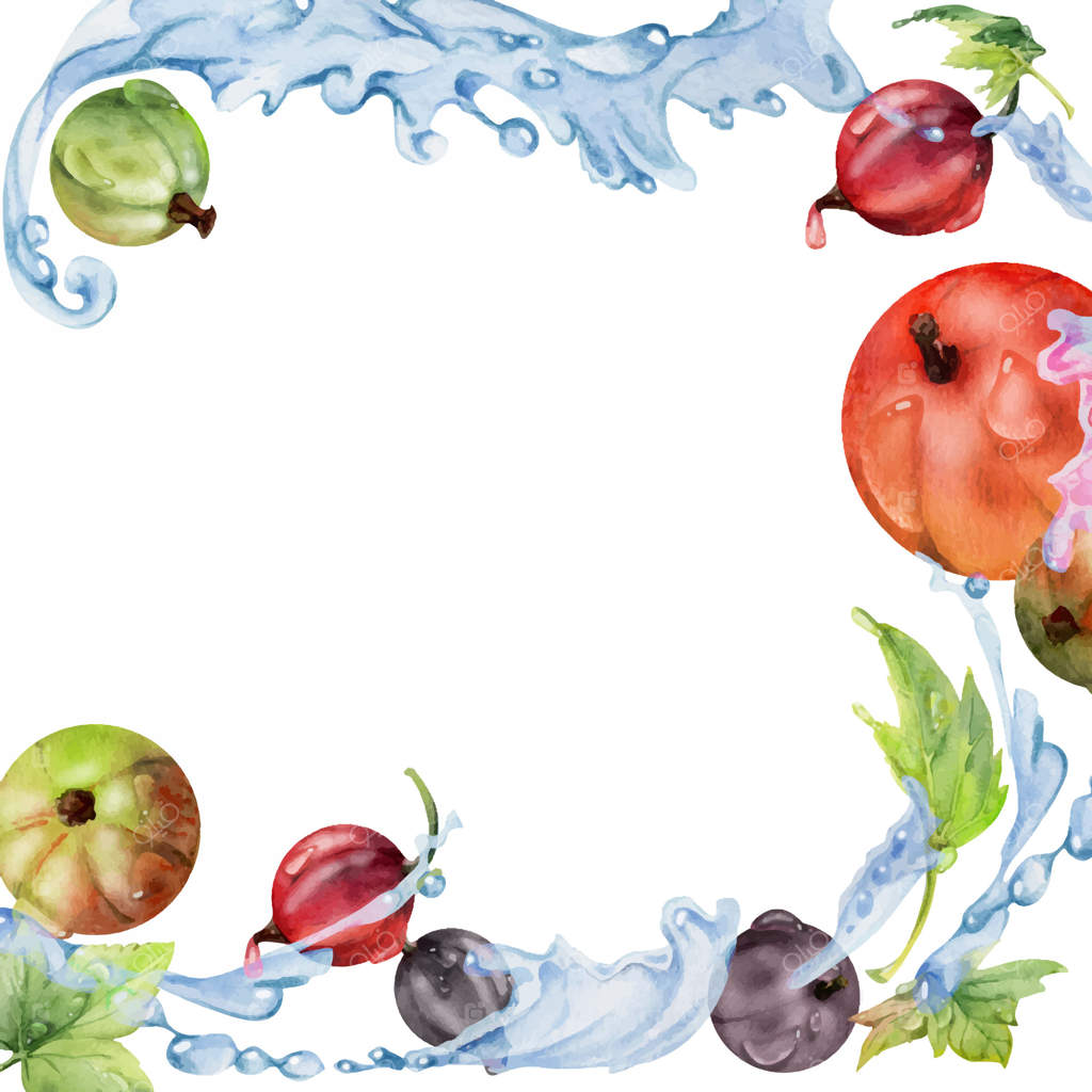 انگور فرنگی و مویز در ترکیب با برگ‌های سبز و قطرات شبنم، تصویر باغ تابستانی با میوه‌های رسیده. طراحی با آبرنگ. قاب مربع برای بسته‌بندی نوشیدنی