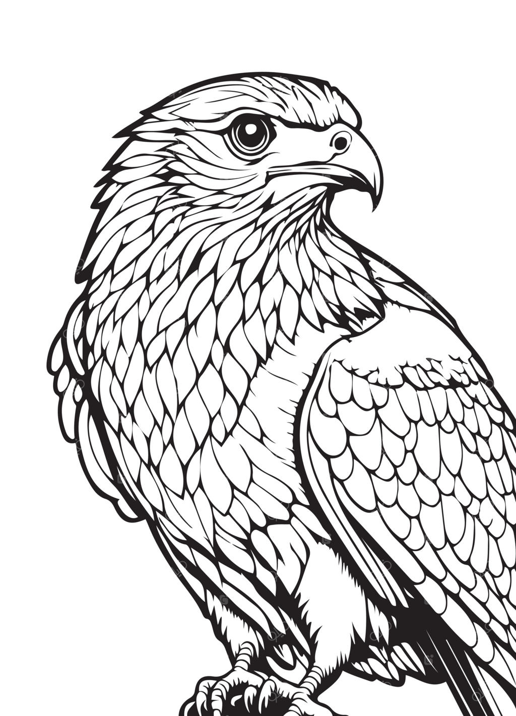 وکتور ماندالای عقاب سرسفید؛ طرح سیاه و سفید مناسب برای برش وینیل