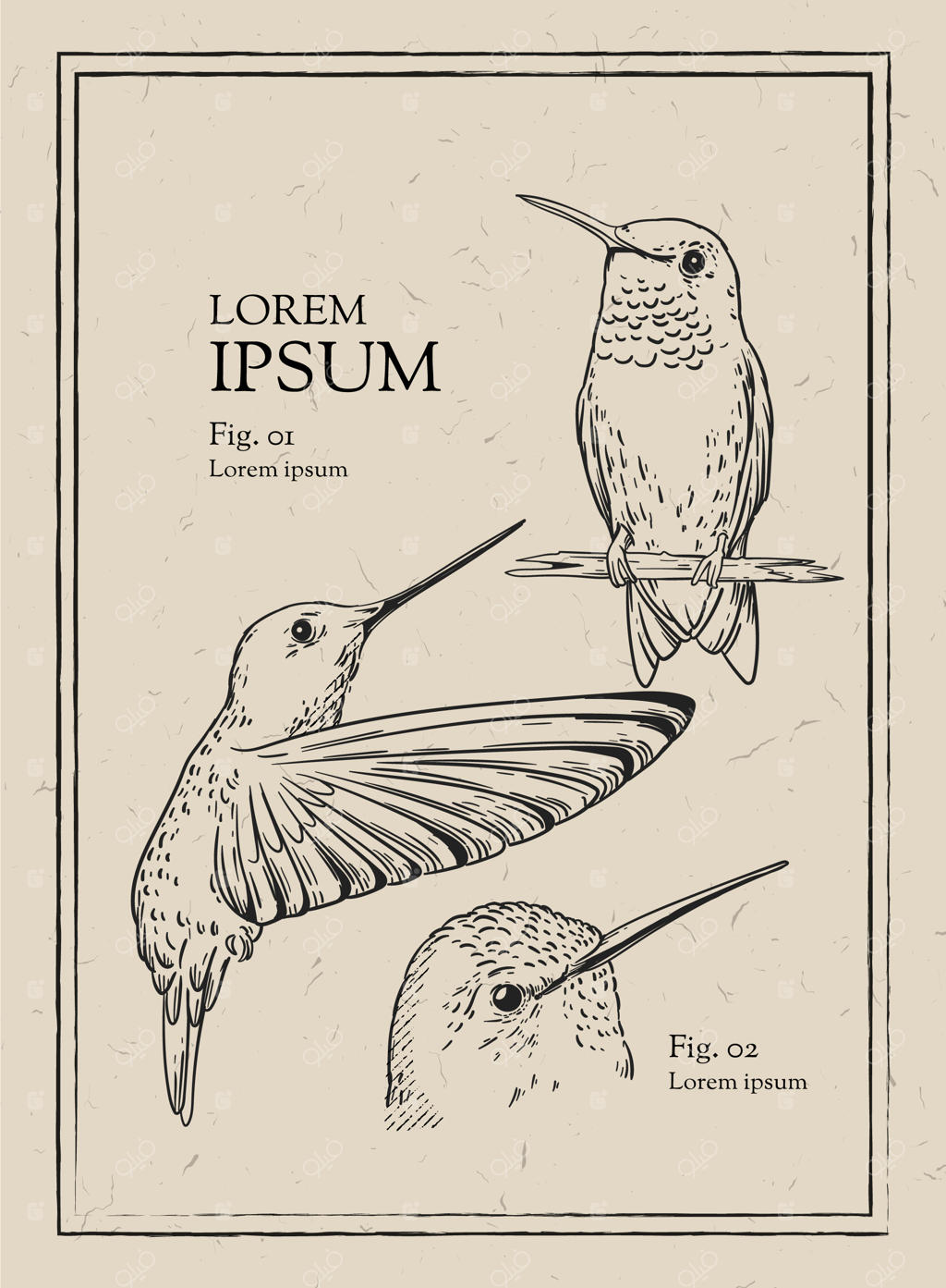 تصویرسازی حیوانات به سبک کلاسیک و دستی