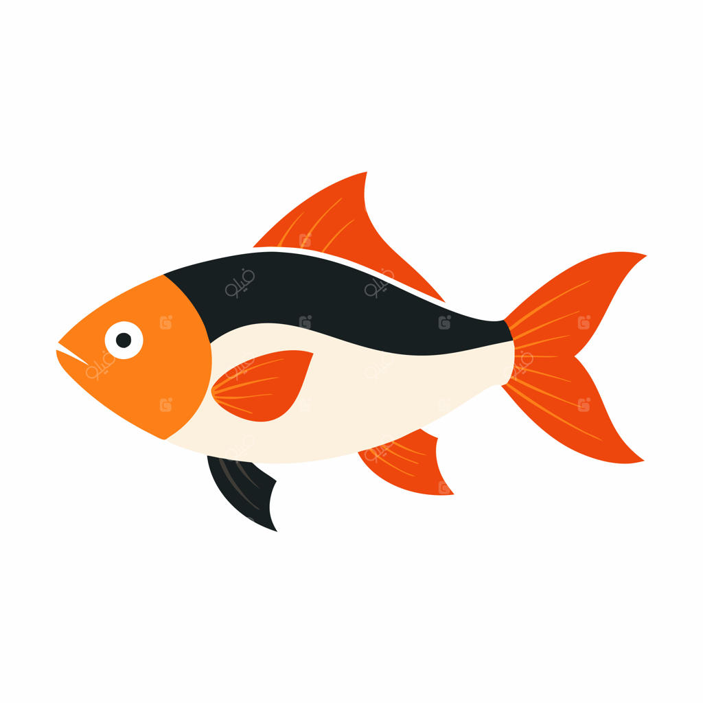 تصویرسازی وکتور ماهی دریایی