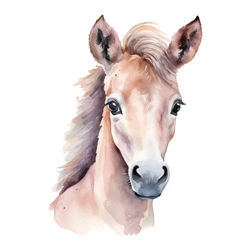 اسب آبرنگی: تصویر وکتور با طرح دستی اسب پونی بامزه. تصویر کلیپ آرت.