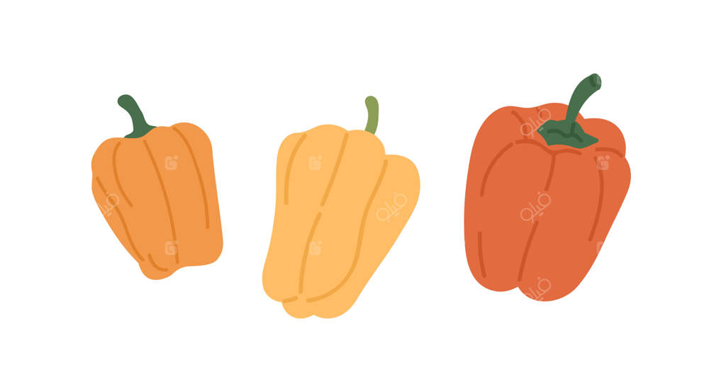 مجموعه‌ای از فلفل‌های دلمه‌ای شیرین: سبزیجات تازه و کامل در رنگ‌های مختلف. غذای طبیعی و خام. سبزیجات سالم و رسیده. تصویرسازی فلت بر روی زمینه سفید.