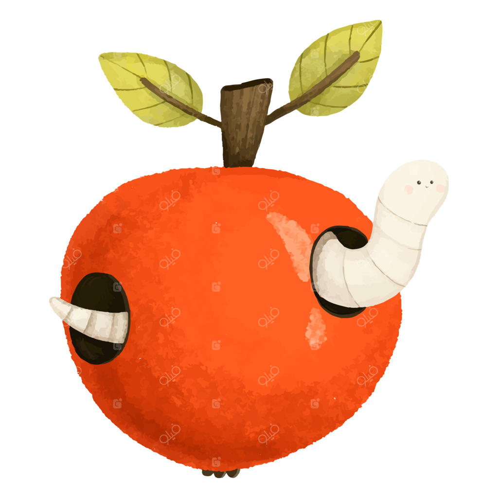 مجموعه طراحی دستی سیب، جدا شده در پس‌زمینه سفید. تصویرسازی خوراکی لذیذ و غذای گیاهی