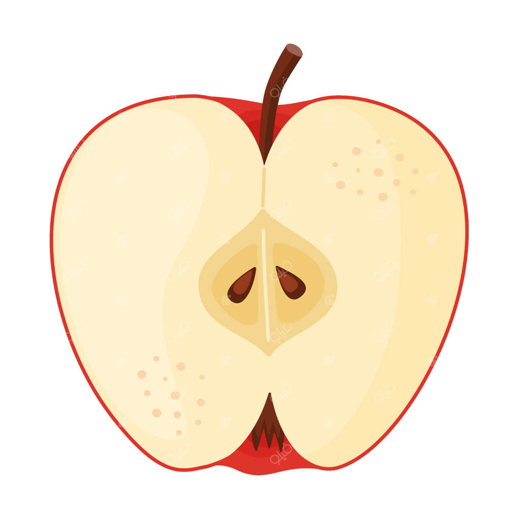 سیب قرمز نیمه رسیده، میوه تازه باغ. نگاره‌ دست‌کشیده غذا. نیمه و برش سیب قرمز تازه، به سبک تخت و جداگانه