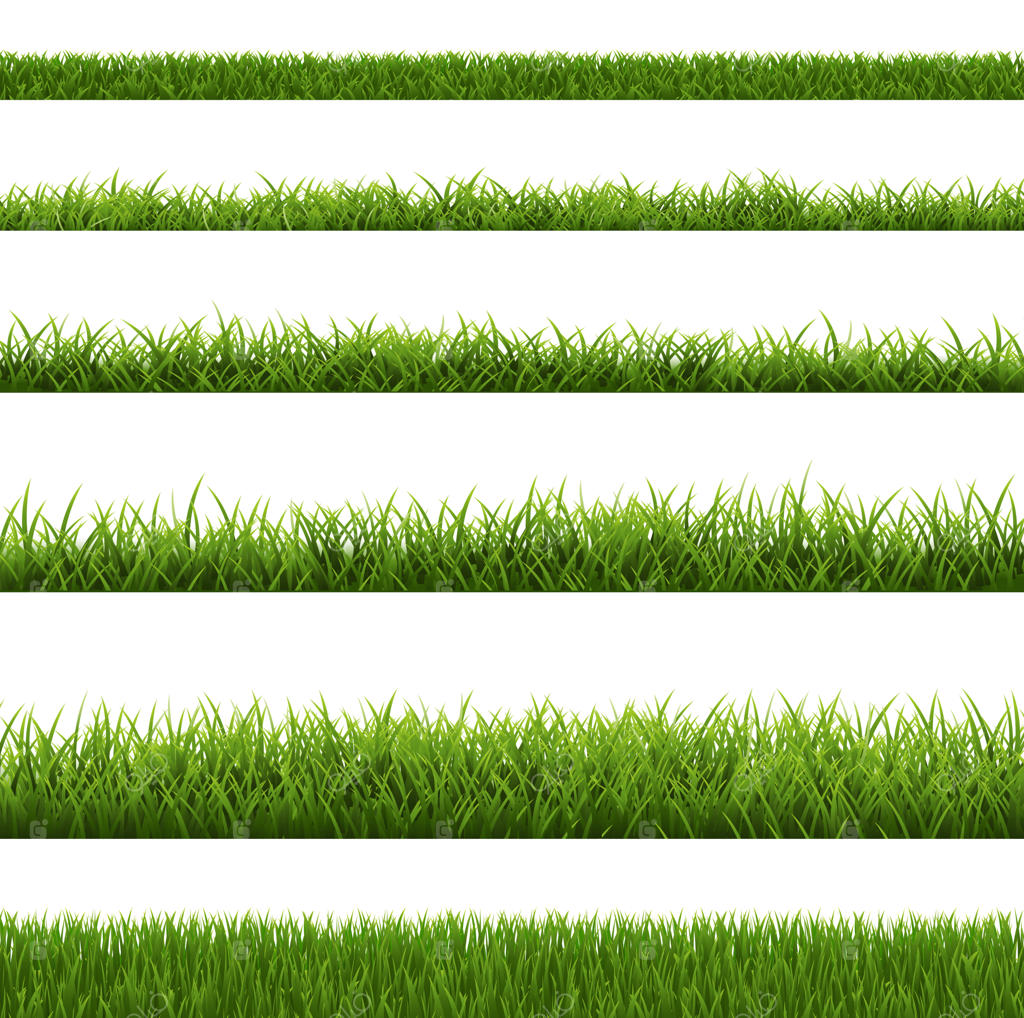 مجموعه حاشیه چمن با پس‌زمینه سفید