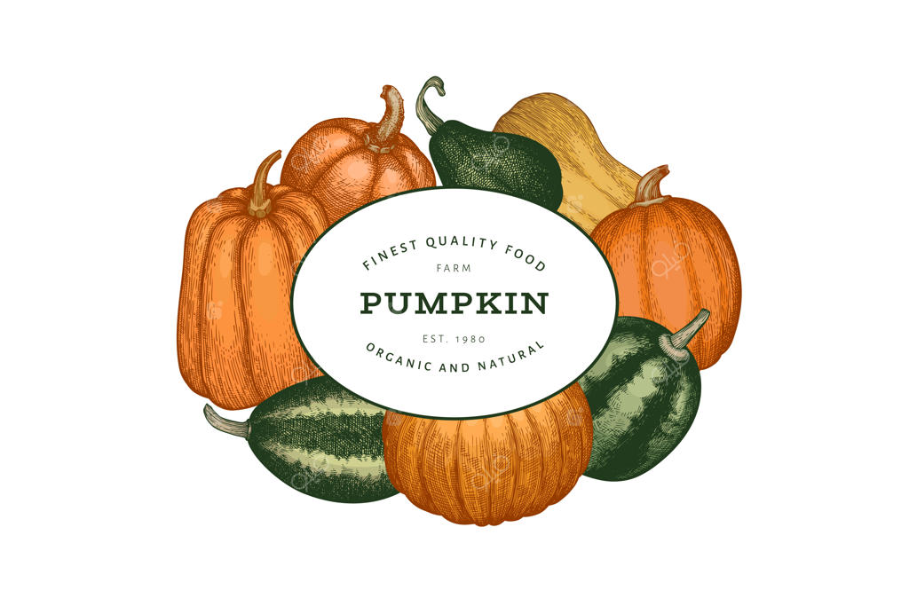 پترن طراحی رنگ کدو تنبل: تصاویری دست‌کشیده برای جشن شکرگزاری با حال‌وهوای نوستالژیک و پس‌زمینه‌ای از برداشت کدو در پاییز