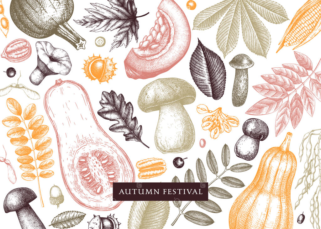 پاییز نوستالژیک در رنگ‌ها - با نقاشی دستی برگ‌های پاییزی، کدو تنبل، توت‌ها و قارچ‌ها. مناسب برای دعوت‌نامه‌ها، کارت‌ها، بروشورها، منوها، برچسب‌ها و بسته‌بندی.