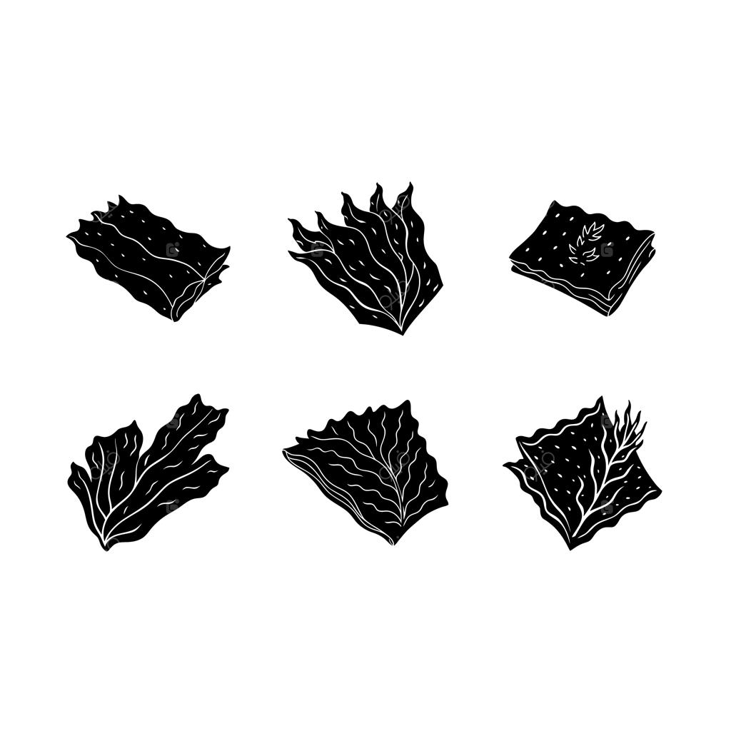 فایل وکتور ورق جلبک دریایی نوری با کیفیت بالا برای طراحی گرافیک دیجیتال