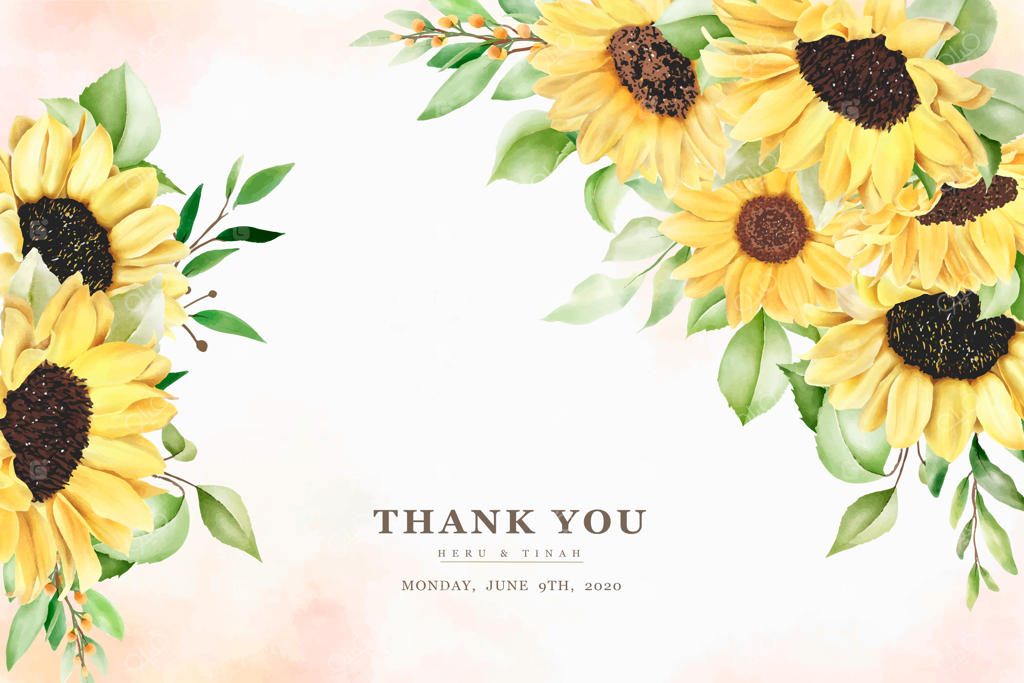 کارت پس‌زمینه آفتابگردان با طراحی دستی و آبرنگی