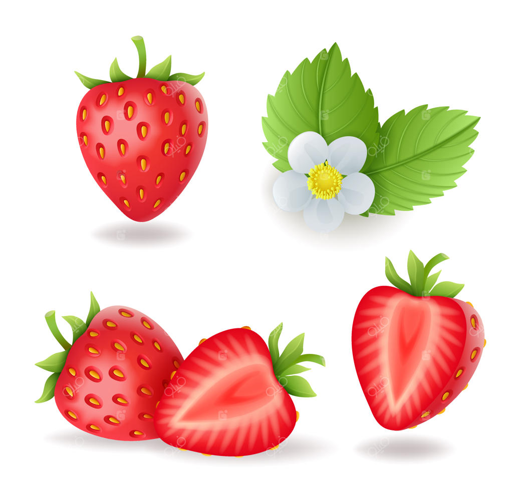 مجموعه‌ای واقعی از توت‌فرنگی‌های شیرین با برگ و گل، توت‌های قرمز تازه، تصویرسازی جداگانه.