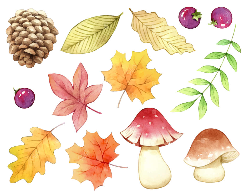 اکسسوری های پاییزی با طرح آبرنگ از طبیعت