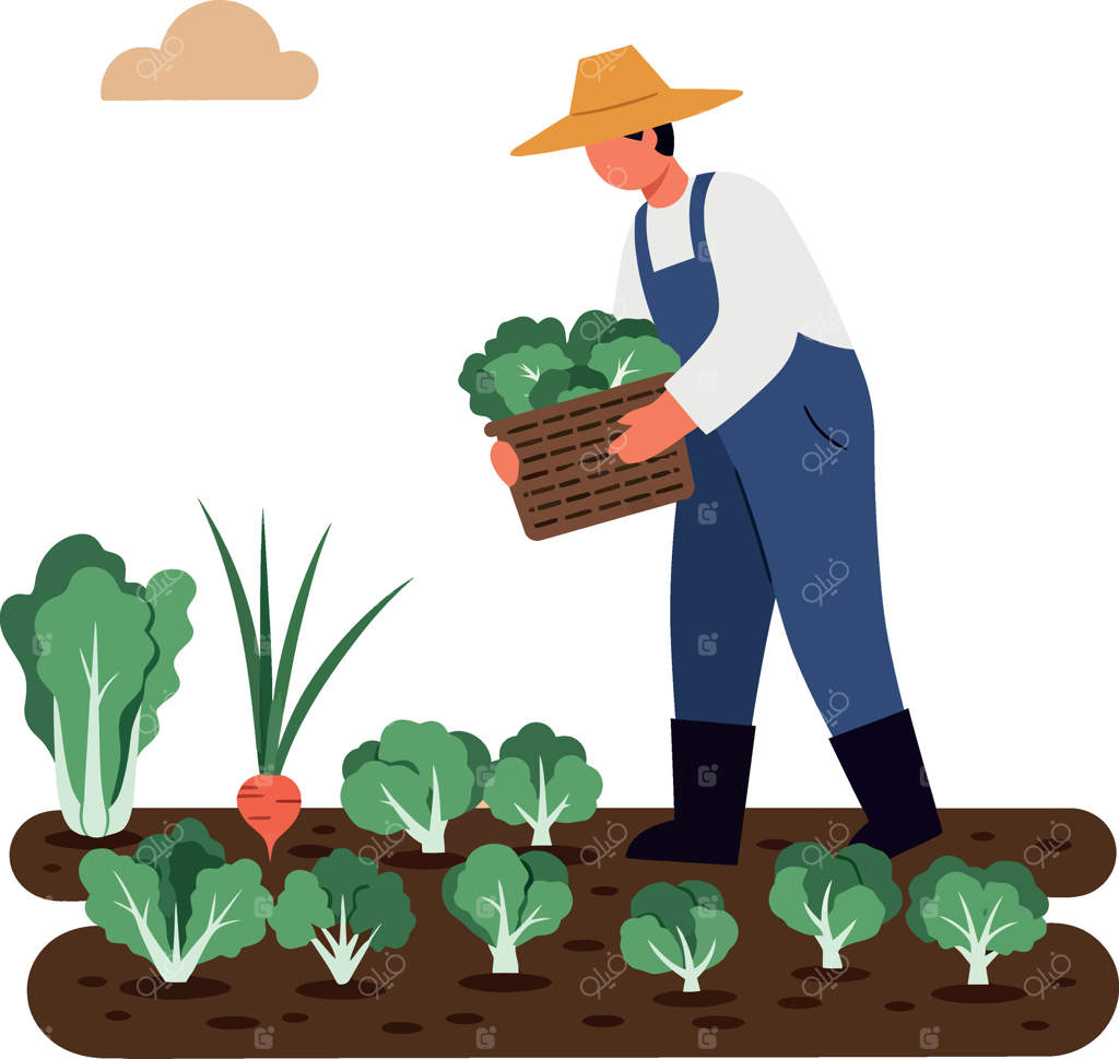 کشاورزی در حال برداشت سبزیجات تازه از باغچه به سبک هنری تخت