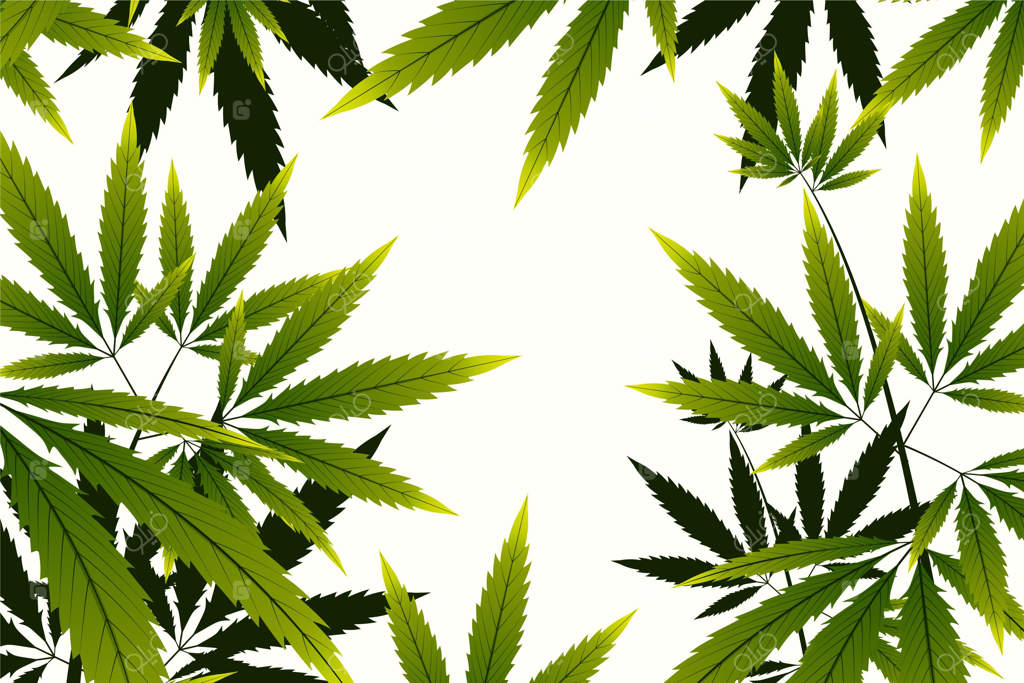 فضای پس‌زمینه با گیاه شاهدانه