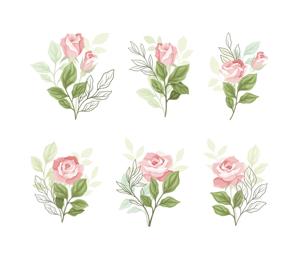 تصویرسازی گل‌های رز صورتی و برگ‌ها