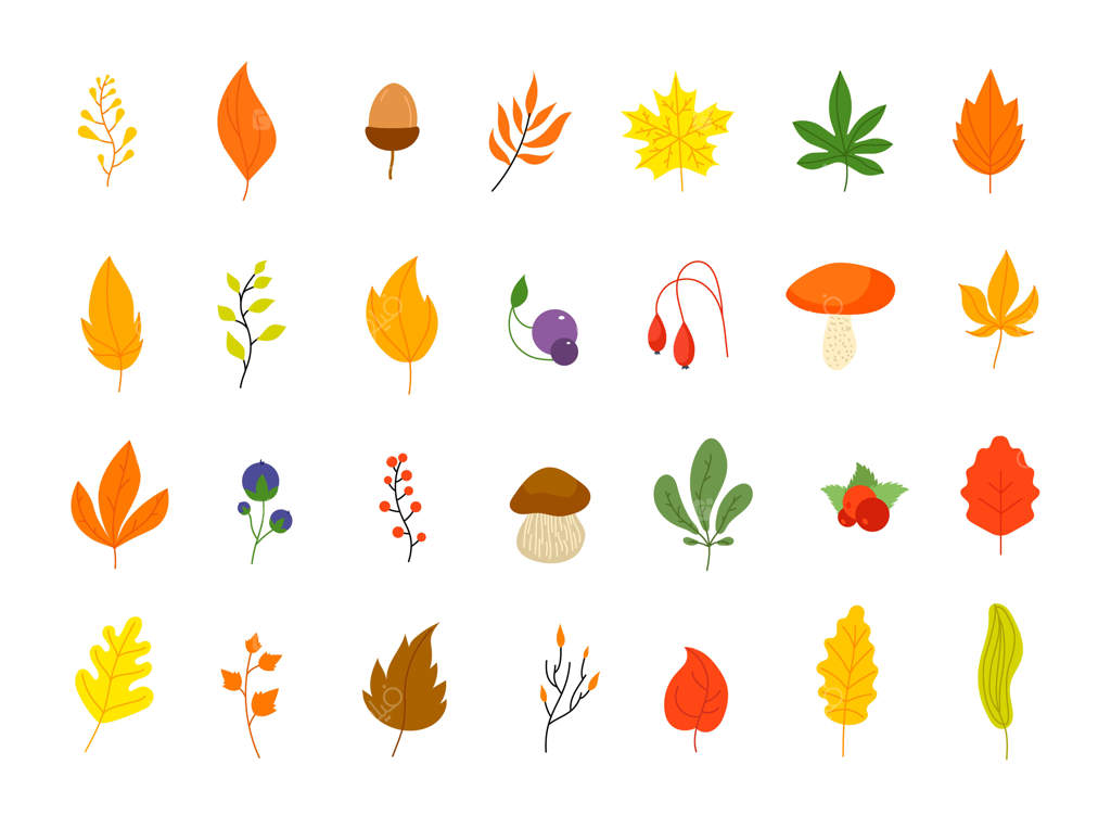 عناصر گرافیکی پاییزی جنگل: برگ‌ها، توت‌ها و نمادها - برگ بلوط، افرا، شاخ و برگ، بلوط و توت خوشه‌ای برای جشن شکرگزاری - مجموعه‌ی جامع وکتورهای پاییزی