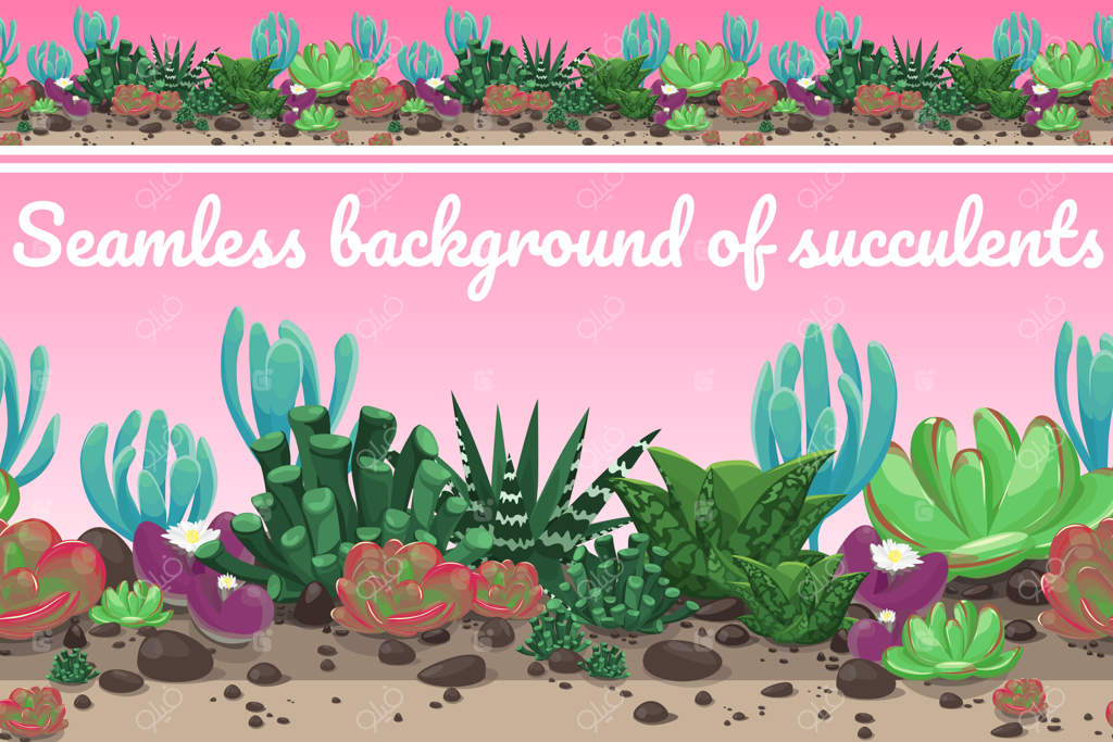 پس‌زمینه‌ی یکدست با کاکتوس‌های مختلف بر روی زمینه‌ای صورتی