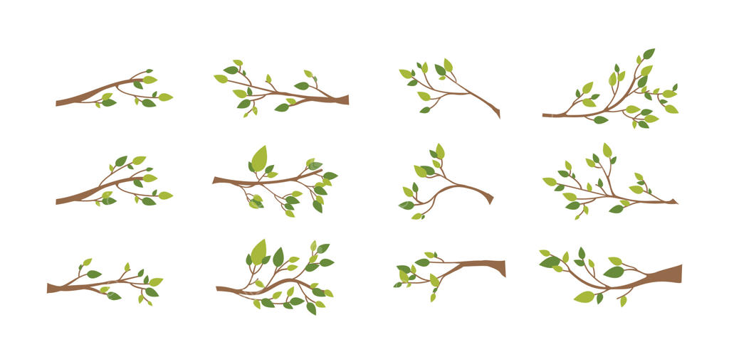 تصاویر وکتوری شاخه‌های درخت با برگ‌ها به صورت حرفه‌ای وکتور