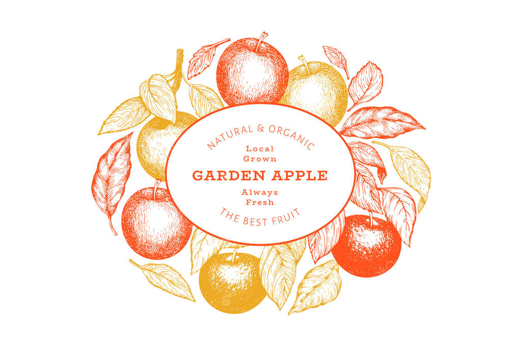 قالب بنر شاخه سیب