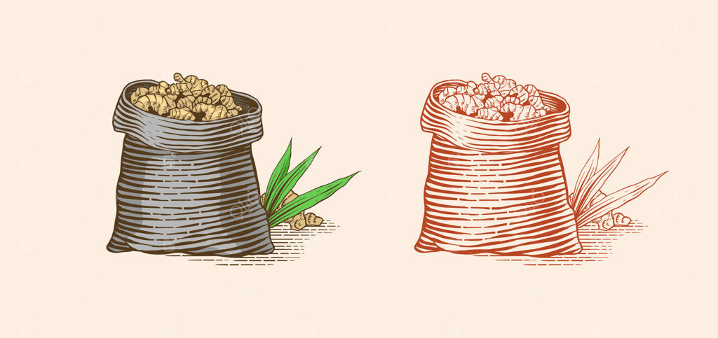 ریشه زنجبیل در کیسه، ساقه خرد شده، گیاه تازه.