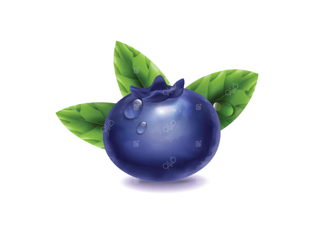 زغال‌اخته تازه