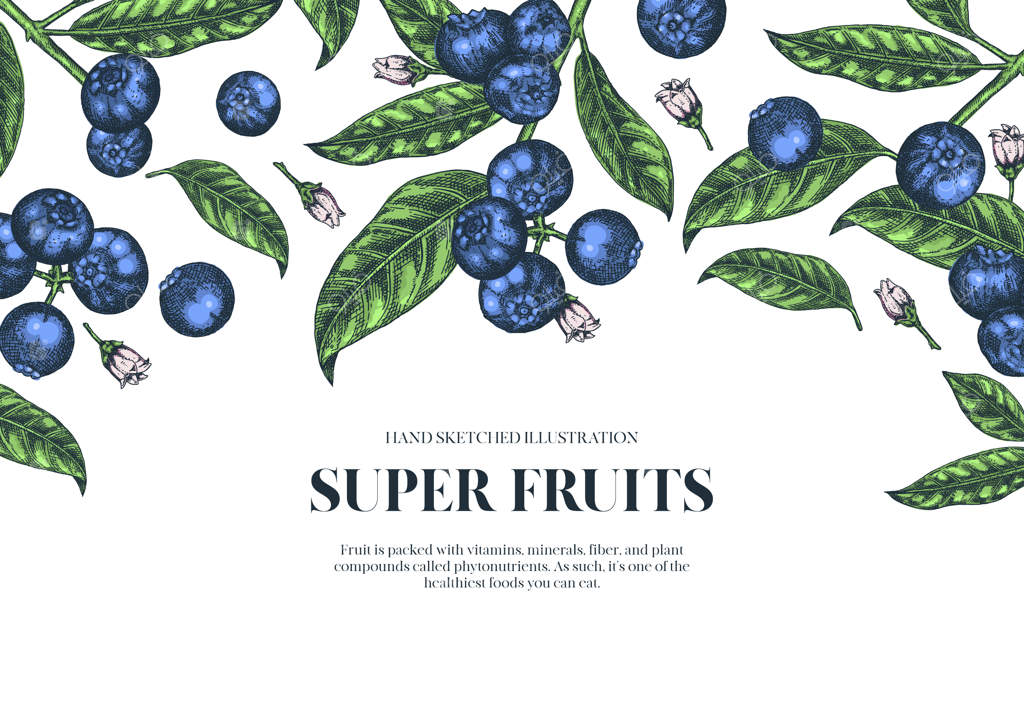 زغال اخته: تصویرسازی دستی