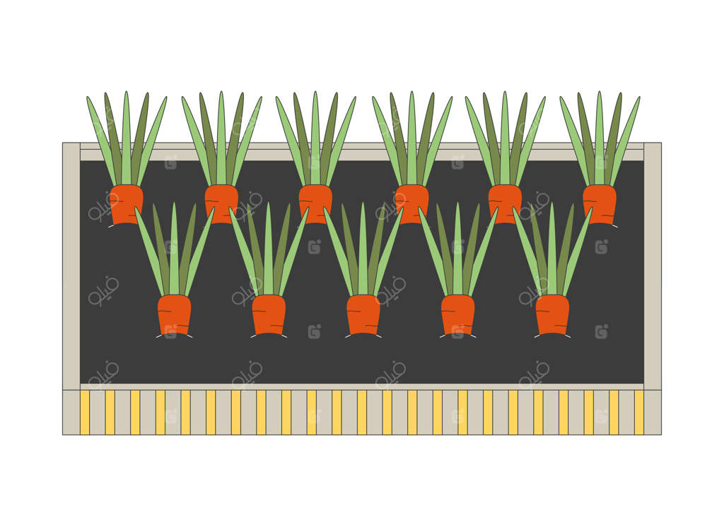 تخت گل باغچه با هویج‌هایی در حال رشد در خاک - تصویر دو بعدی کارتونی. باغبانی خانگی. کشاورزی ارگانیک. پرورش سبزیجات تازه - عنصر مجزا در زمینه سفید. تصویر نقطه‌ای