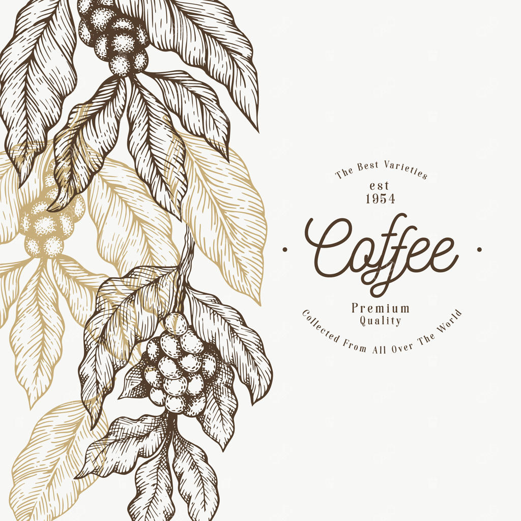 طرح شاخه درخت قهوه