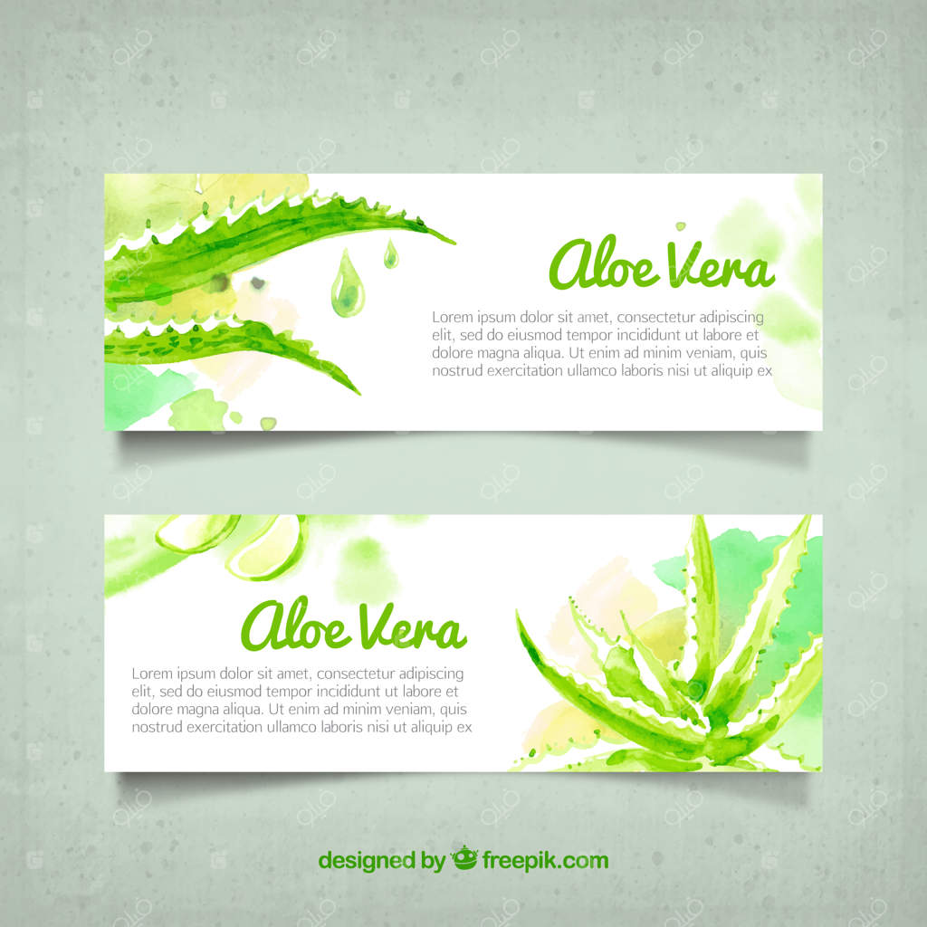 بنرهای آبرنگی زیبای آلوئه‌ورا