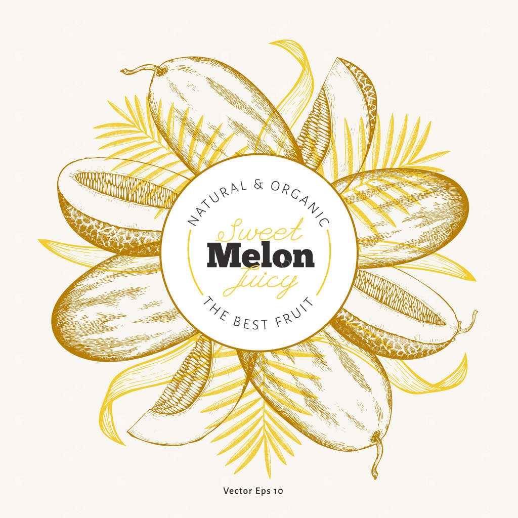 پترن طراحی هندوانه کامل و برش‌های آن.