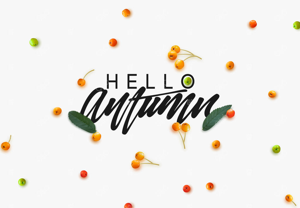 پس‌زمینه با تصاویر واقعی از سنجد رسیده و متن خوشنویسی پاییز