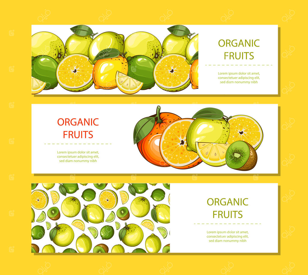 کاوش در تصاویر زنده وکتورهای حرفه‌ای میوه‌های ارگانیک