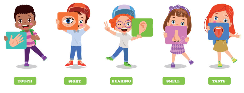 مفهوم پنج‌گانه حواس با اندام‌های انسانی