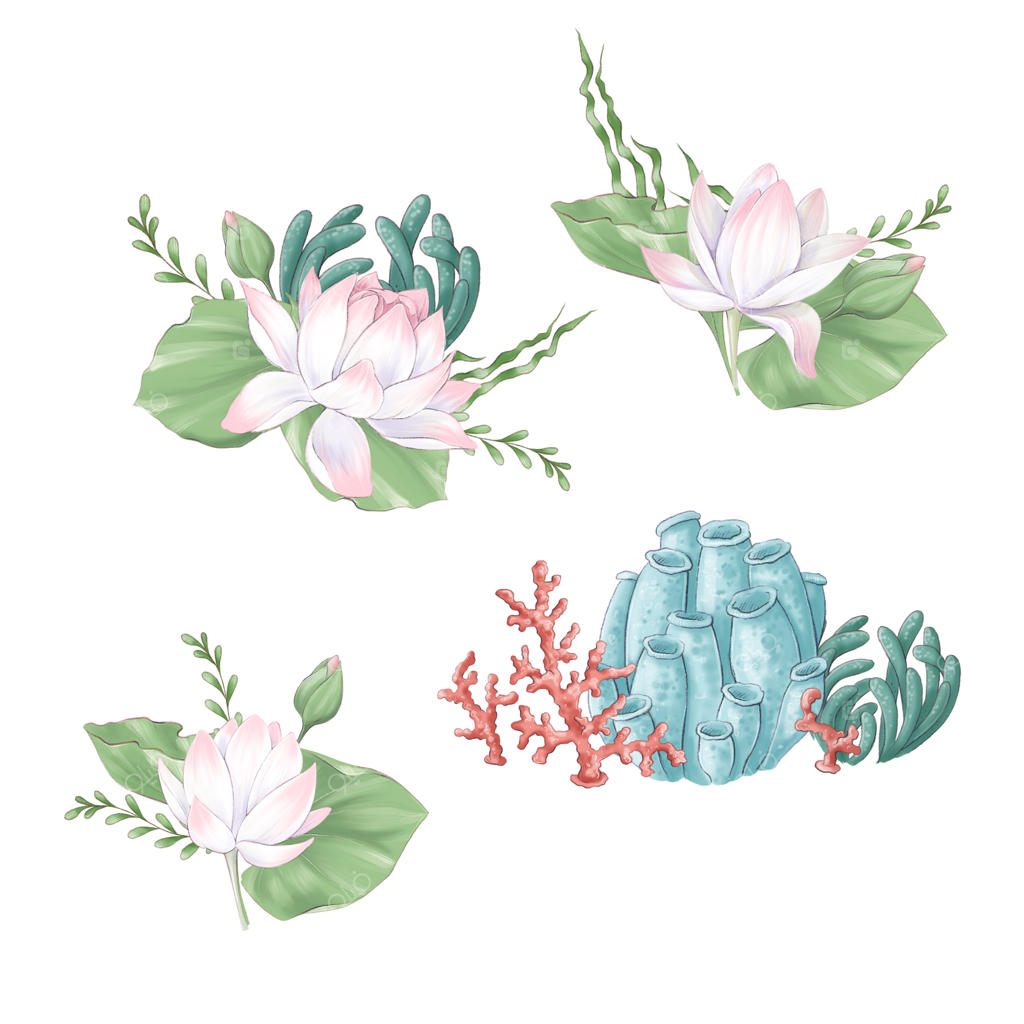 مجموعه کلیپ آرت دیجیتالی از گل‌ها و دسته گل‌های نیلوفر آبی و جلبک دریایی