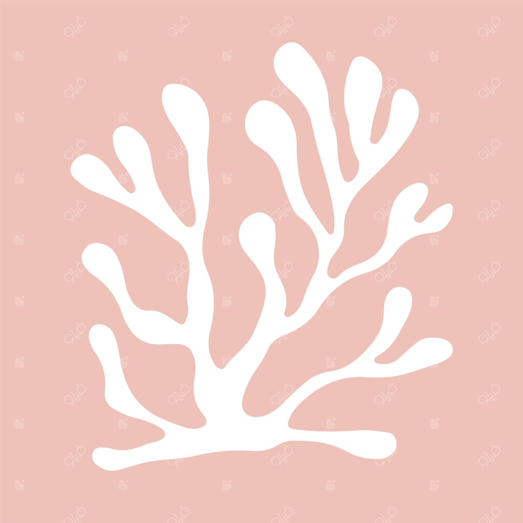 طرح انتزاعی و مینیمال مرجانی به رنگ صورتی و سفید با الهام از طبیعت