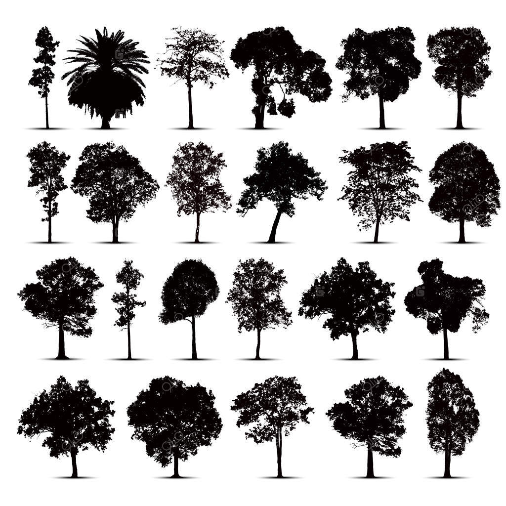 مجموعه‌ای از سیلوئت‌های درخت