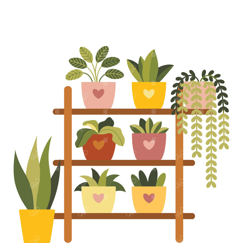 قفسه‌ای با گلدان‌های گیاه و یک قلب