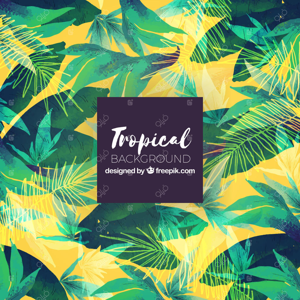 زمینه تابستانی گرمسیری با گیاهان سبز