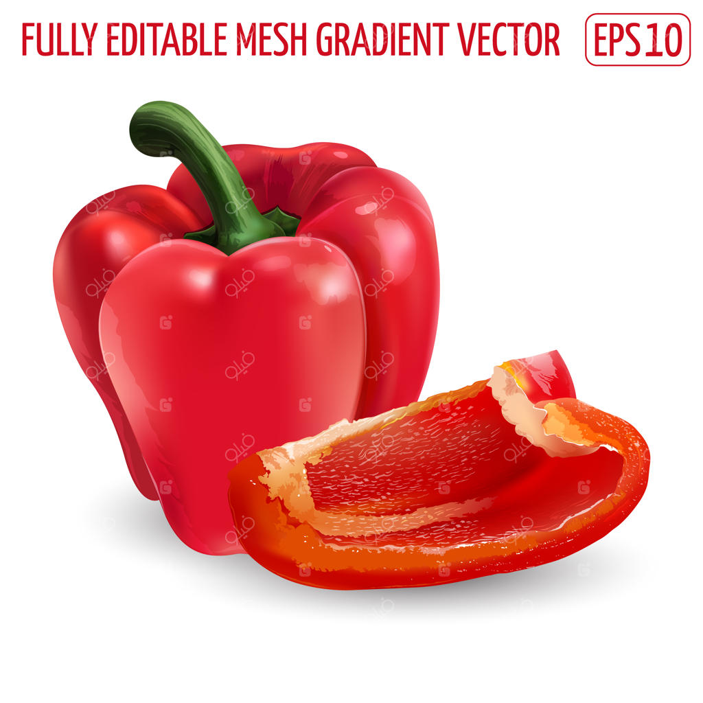 فلفل دلمه‌ای قرمز تازه - طراحی غذای سالم. تصویرسازی واقع‌گرایانه.