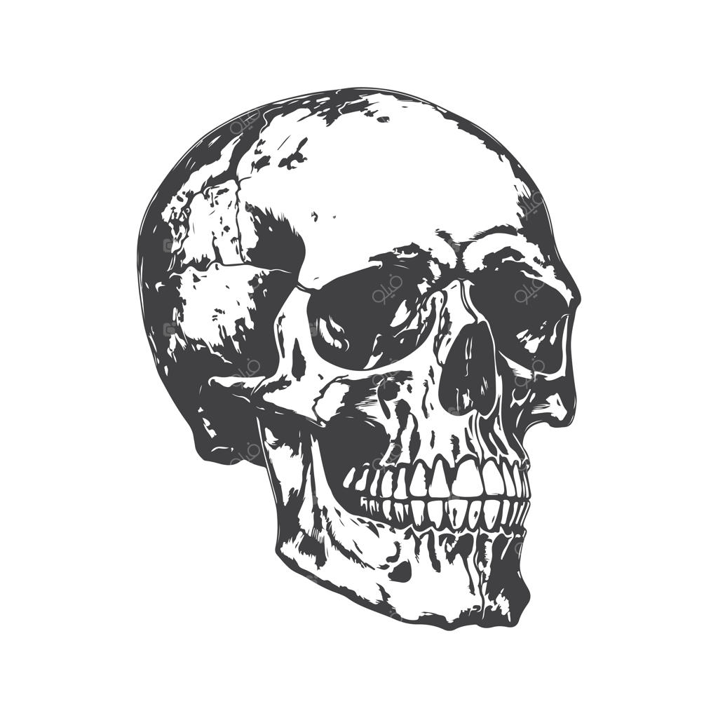 طرح دستی و تک‌خطی وینتیج برای لوگو، پوستر و پس‌زمینه