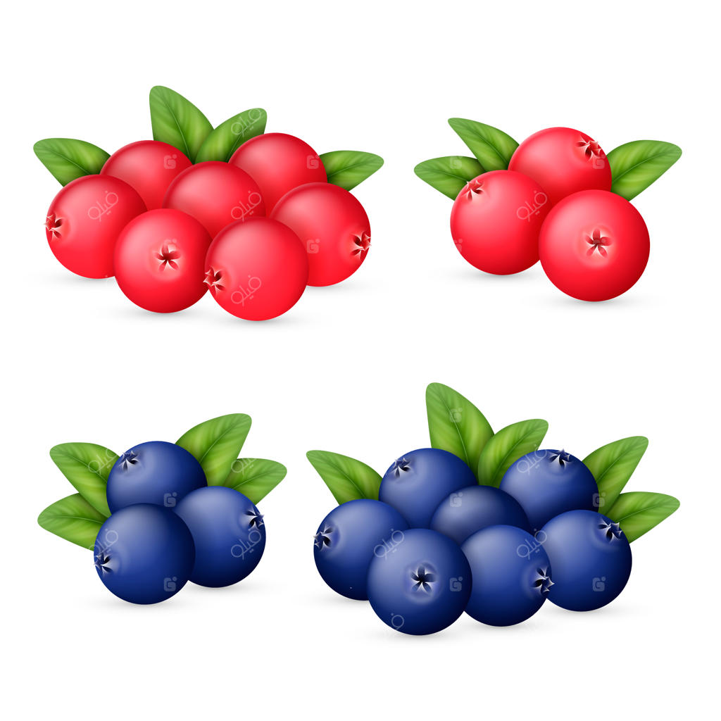 زغال‌اخته و کرنبری با برگ‌ها