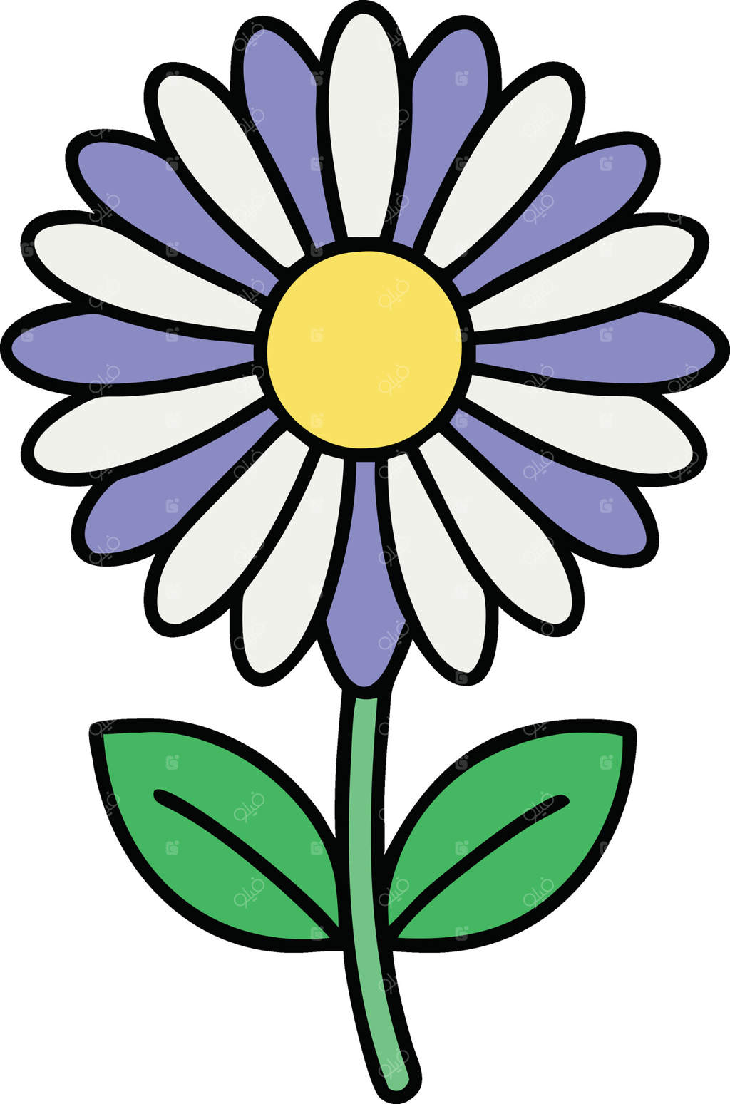 نقاشی گل بابونه: گلبرگ‌ها، ساقه، برگ‌ها، شکوفه، بهار، طبیعت، گیاه‌شناسی، باغ، طراحی گل