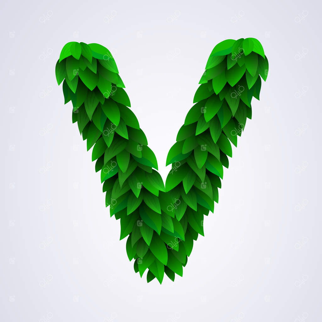 حروف الفبا ساخته شده از برگ سبز تازه: حرف V